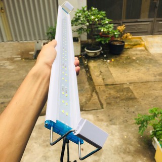 Đèn led cho hồ cá cảnh từ 80 đến 90cm