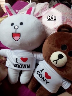- cặp đôi Brown và thỏ