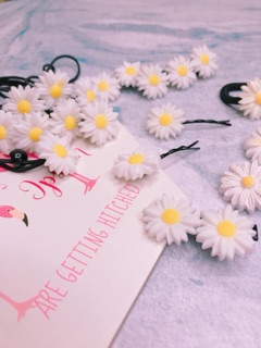 Set kẹp hoa cúc