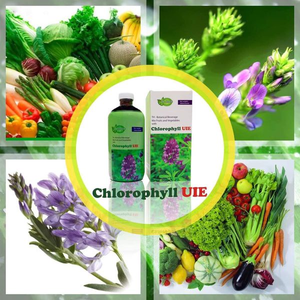 TH Chlorophyll UIE Plus - Nước Diệp Lục thanh lọc thải độc