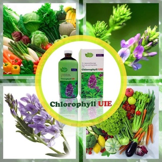 TH Chlorophyll UIE Plus - Nước Diệp Lục thanh lọc thải độc