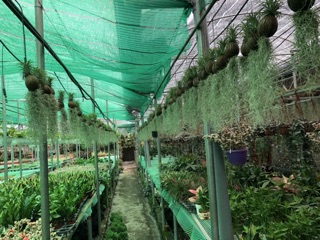 ☘ Vi sinh ủ phân hữu cơ, rác thải, bã mía - EcoClean Compost (USA)