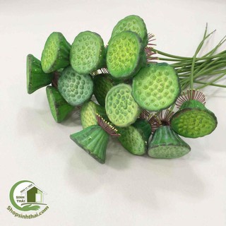 Gương sen giả - gương sen cao cấp