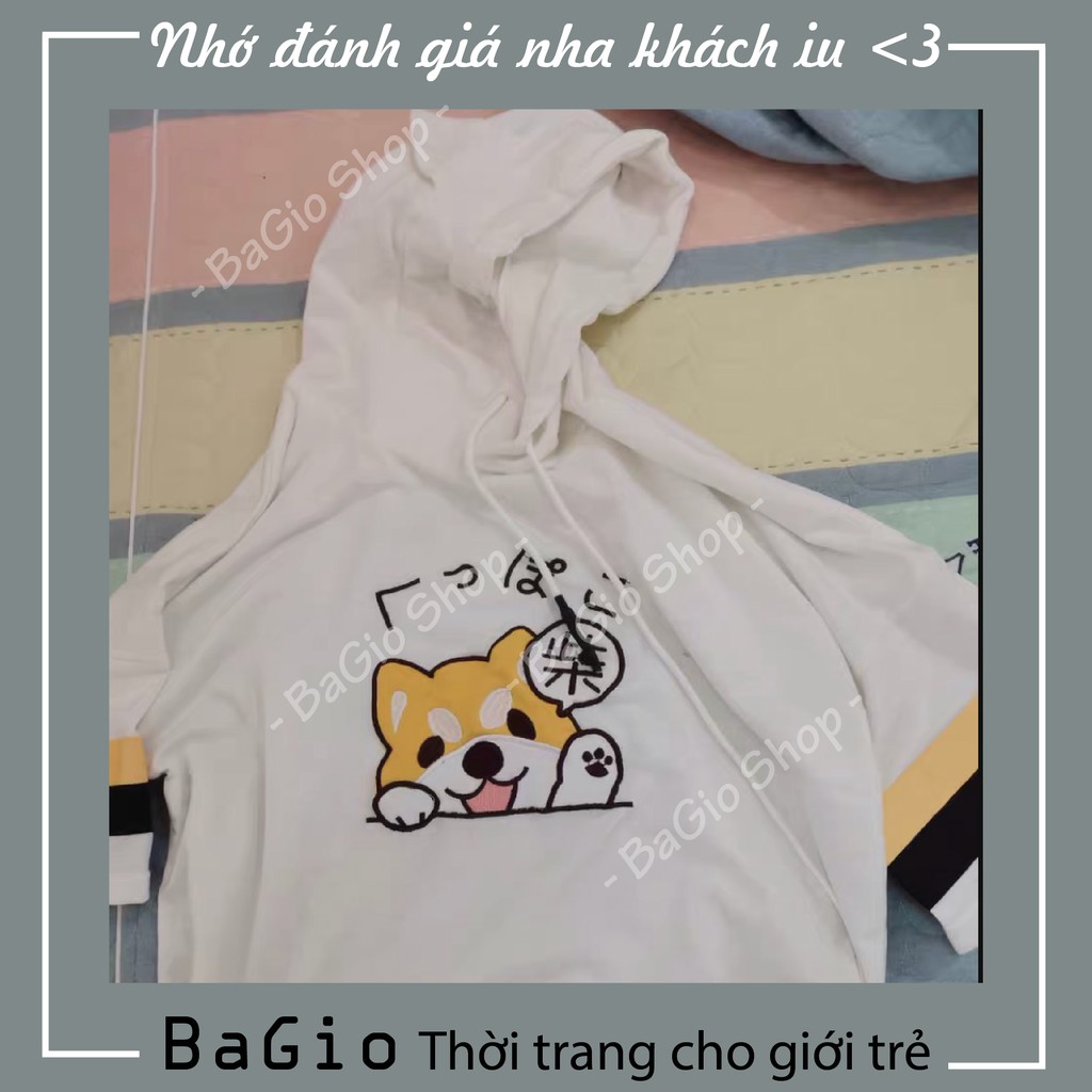 Áo phông hoodie cotton - áo thun unisex tay ngắn mùa hè in hình mèo cún