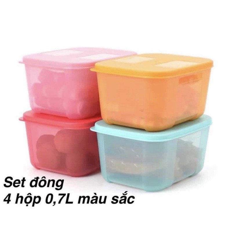 set hộp trữ đông Tupperware