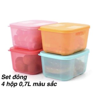 Set hộp trữ đông Tupperware
