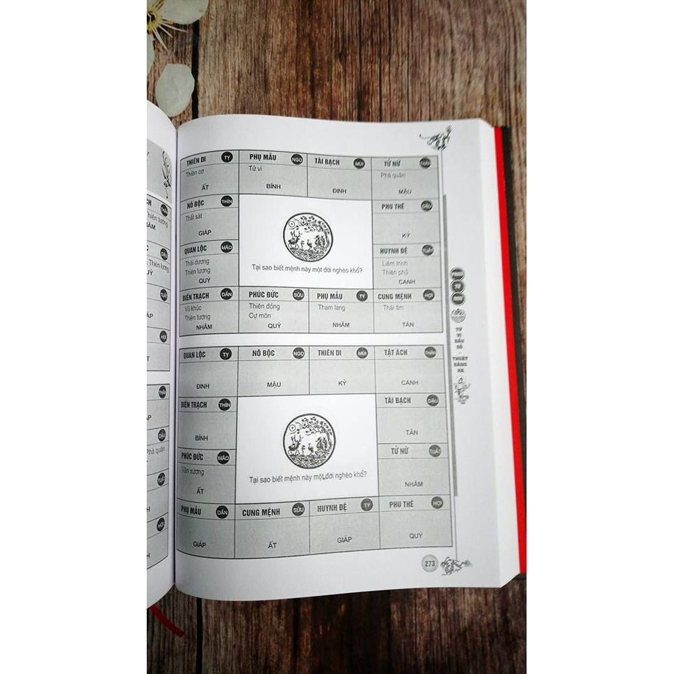 Sách - Tử Vi Đẩu Số - Thuật Đăng Hạ ( Tập 2 ) Gigabook | BigBuy360 - bigbuy360.vn