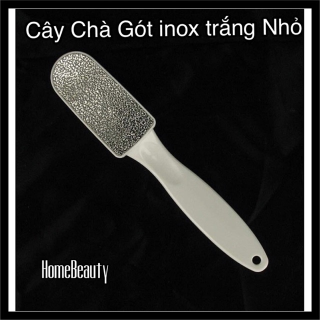 Cây Chà Gót Inox Trắng (MỸ)