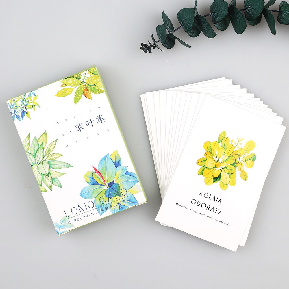 BỘ POSTCARD CÁC LOÀI HOA