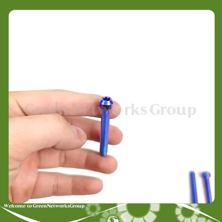 Ốc GR5 6 ly 40 Màu Xanh tím đầu dù bắt gù xe, lốc máy, cùm và nhiều vị trí thông dụng khác Greennetworks ( 1 Con )