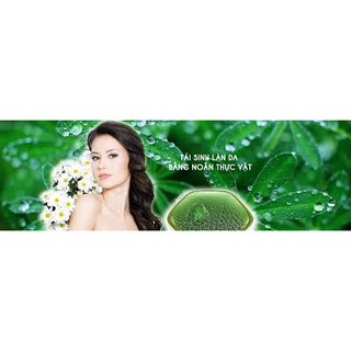 Noãn Thực Vật Công NGhệ NANO