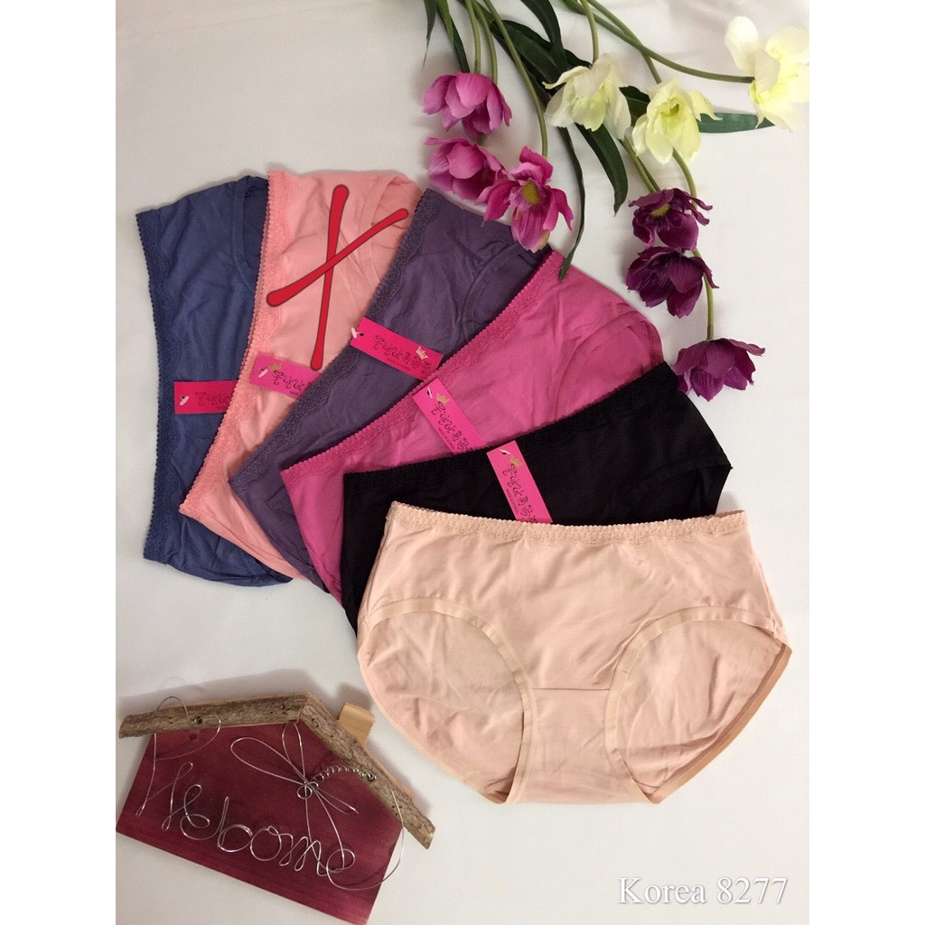 Quần cotton 8277 ( Combo 5 chiếc ) | BigBuy360 - bigbuy360.vn
