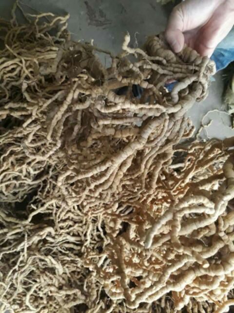 Ba kích tím chuẩn hàng Việt Nam [1kg]