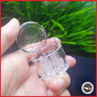 Bẫy Sán Cho Bể Tép Cảnh - Bẫy Sán Mica, Acrylic cho hồ thủy sinh giúp diệt sán nhanh [Tép Xinh Aqua]