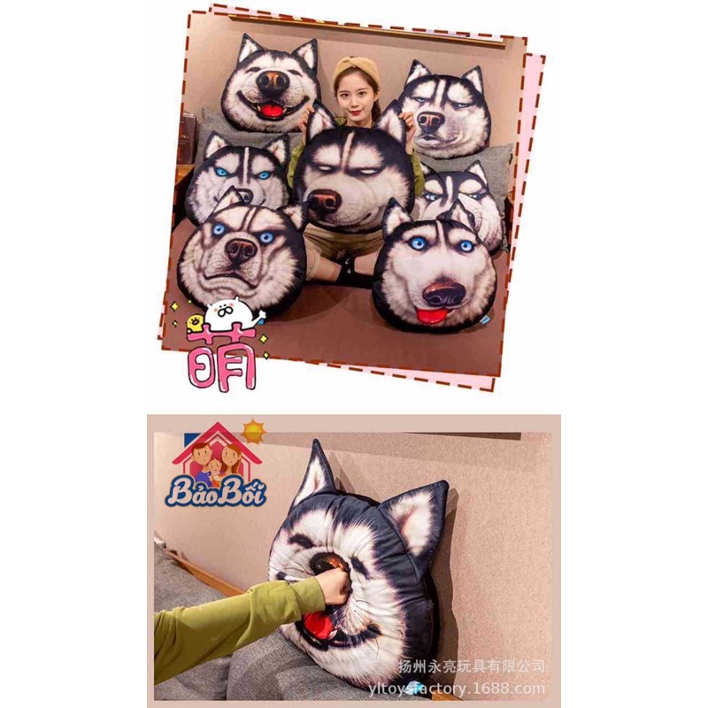 ❤️Freeship❤️ Gối mền hình husky 2in1