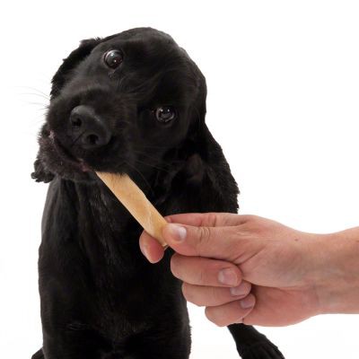 [𝐂𝐎𝐃𝐄𝟏𝟎% 𝐘𝐔𝐏𝐏𝐘𝐓𝐄𝐓] Trixie Thanh gặm làm sạch răng 2 pcs 45gr cho cún