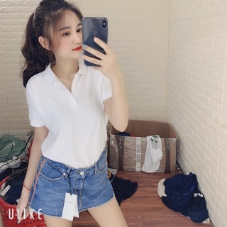 Áo polo zara kid