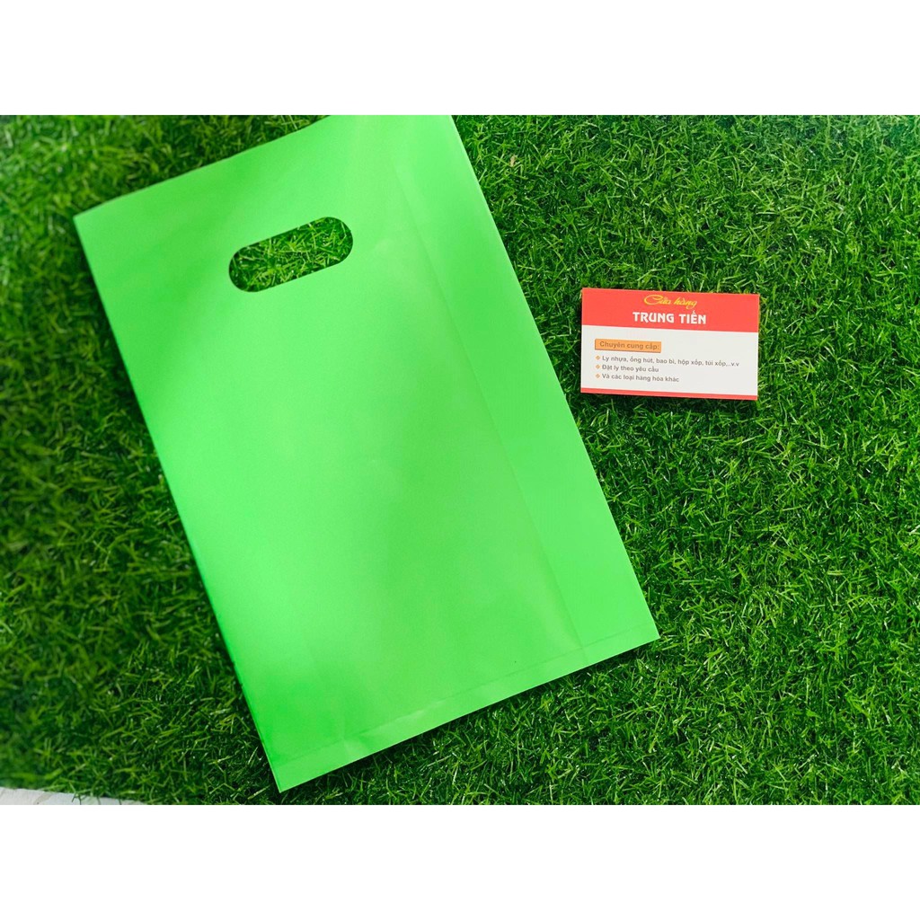 TÚI NILÔNG HỘT XOÀI PE DẺO MÀU