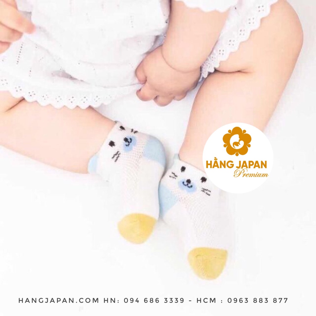 Set 3 đôi / 5 đôi tất lưới cotton Robibabi thoáng khí mềm mịn, giữ ấm cho bé từ sơ sinh