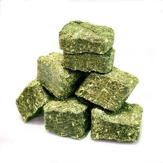 Viên bánh cỏ nén timothy Xtra Bite cho thỏ bọ ú