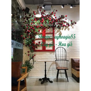 Quận Dây Leo Giả chiều dài 3m