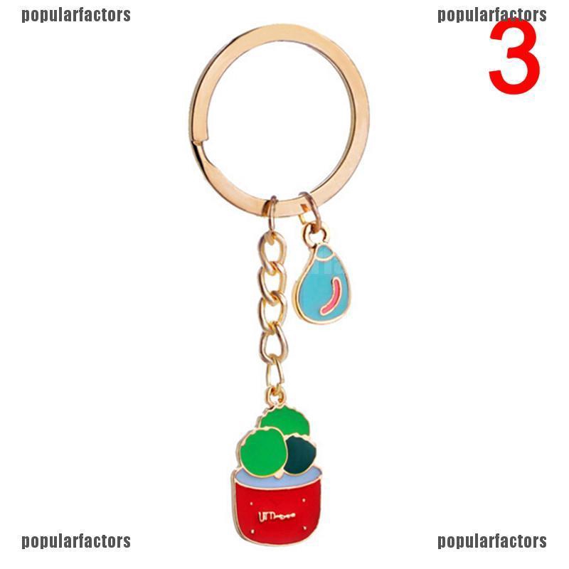 Cây Xương Rồng Tráng Men Sáng Tạo