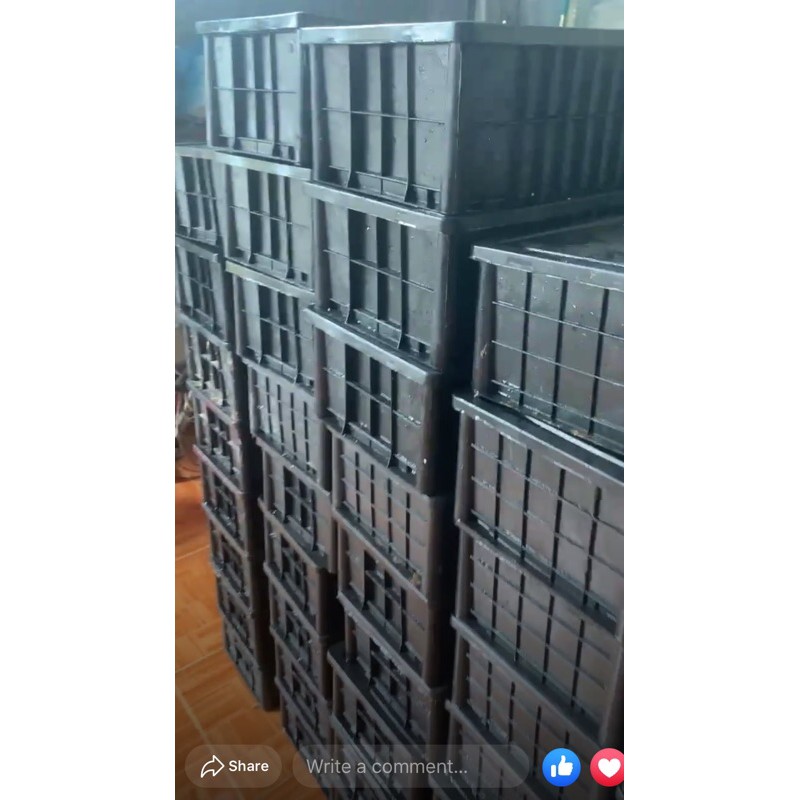 ỊNHg CHÂN SỨA KHÔ ĂN LIỀN - ĐẶC SẢN QUẢNG NINH | BigBuy360 - bigbuy360.vn