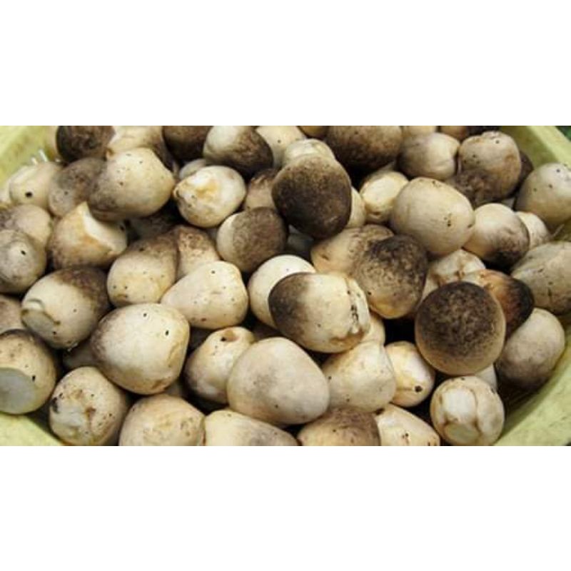 Nấm Rơm 500g