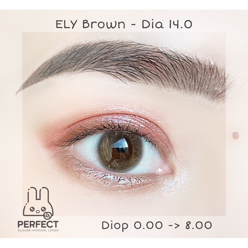 LINK 1 (Giá 1 Chiếc) 14.0 (0.00->8.00) Lens Ely Brown - Kính Áp Tròng