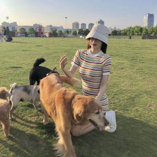 Đầm Dáng Ôm Kiểu Hàn Quốc Thiết Kế Thanh Lịch Cho Nữ