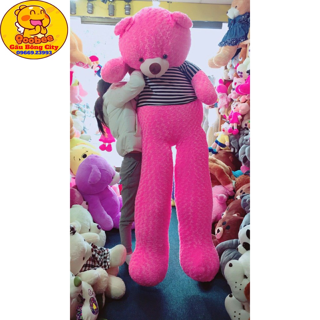 Gấu Bông Teddy Khổng Lồ Siêu To - Kích thước thực 1,83m (khổ vải 2,2m) - Thú nhồi bông lớn cao cấp