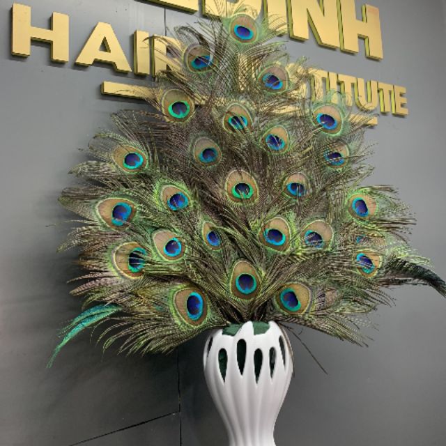 Lông Công Phong Thủy Ấn Độ