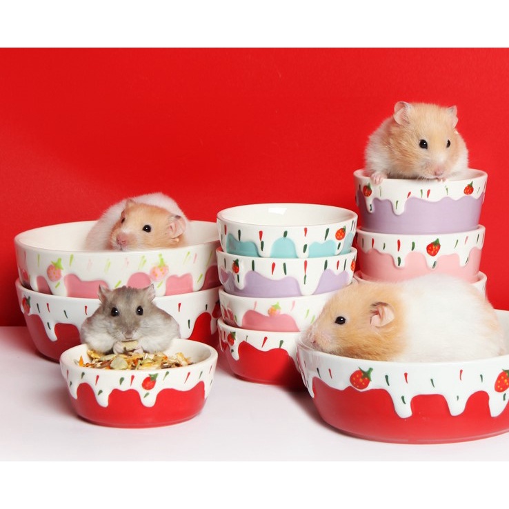 chén sứ kem dâu cho hamster, thỏ, bọ,chó, mèo