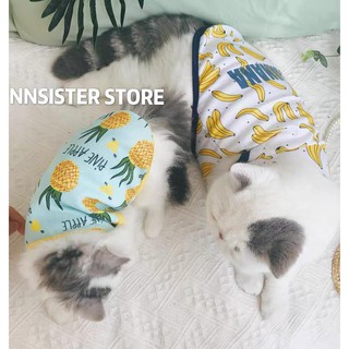 Áo 3 lỗ trái cây cho mùa hè dành cho chó mèo