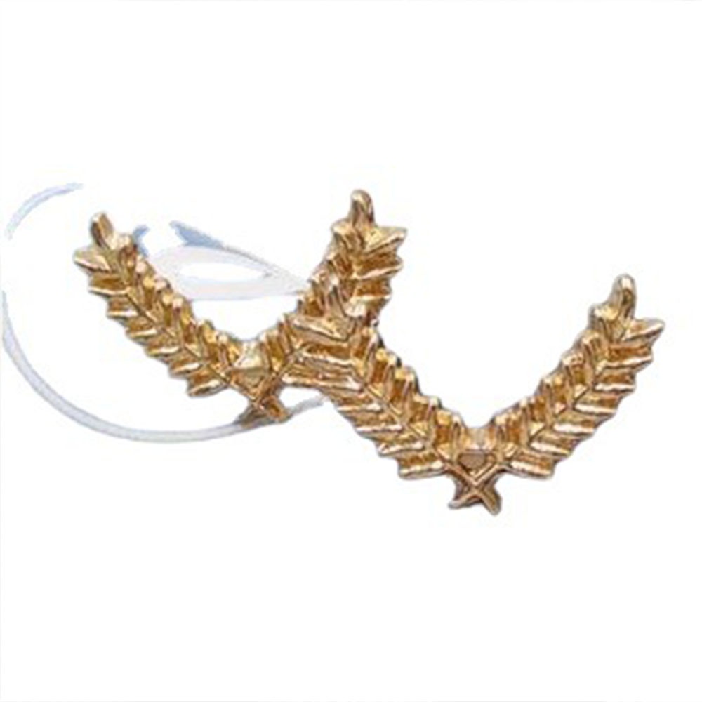 1 Cặp Ghim Cài Áo Hình Chiếc Lá Thời Trang Dành Cho Nữ