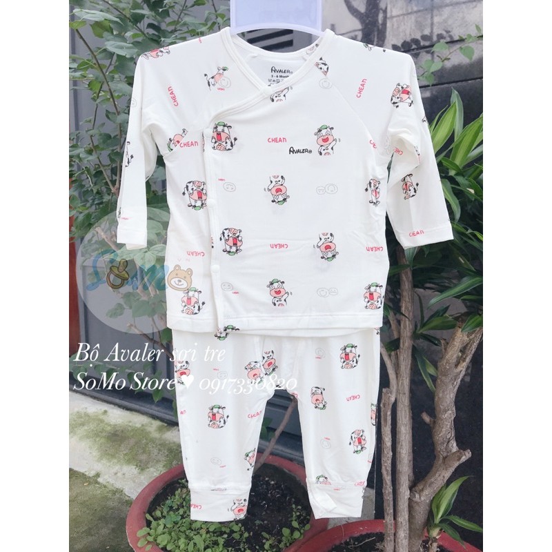 Bộ sợi tre Avaler 0-6 tháng