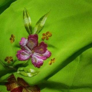 Áo dài Giang Thanh