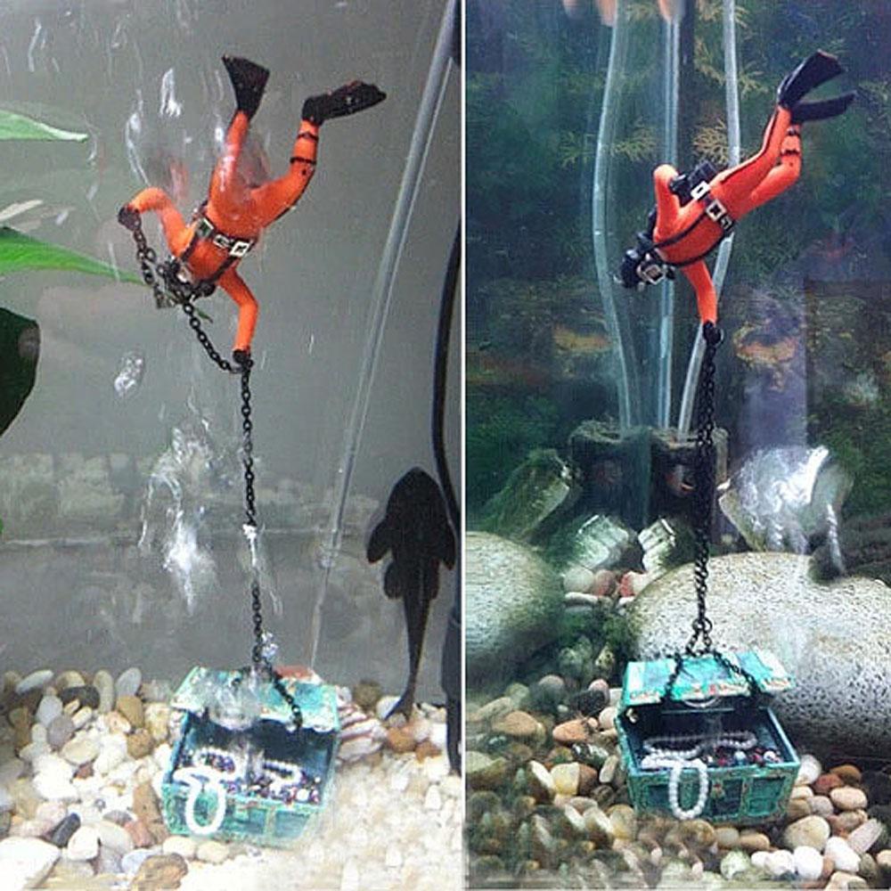 Người Săn Kho Báu AUGUSTINA Trang Trí Bể Cá