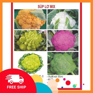 100 hạt giống súp lơ mix