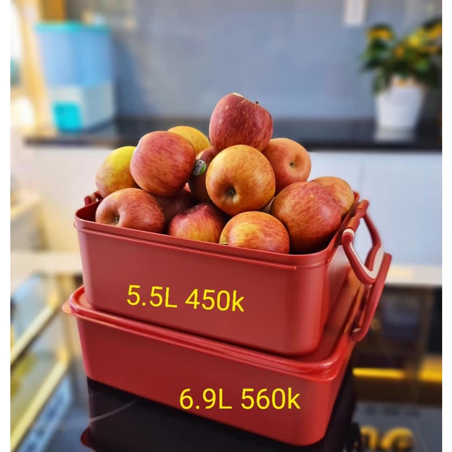 HỘP BẢO QUẢN THỰC PHẨM NGÂM