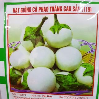 Hạt giống cà pháo trắng