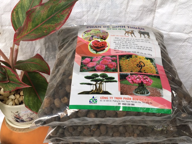 Phân dê cho hoa lan và cây cảnh