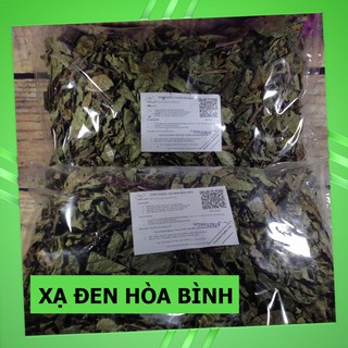 Cây Xạ Đen Rừng ( Xạ Đen Hòa Bình )