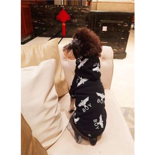 Áo hoodie Boy Đại Bàng cho thú cưng, chó mèo- Hàng loại 1