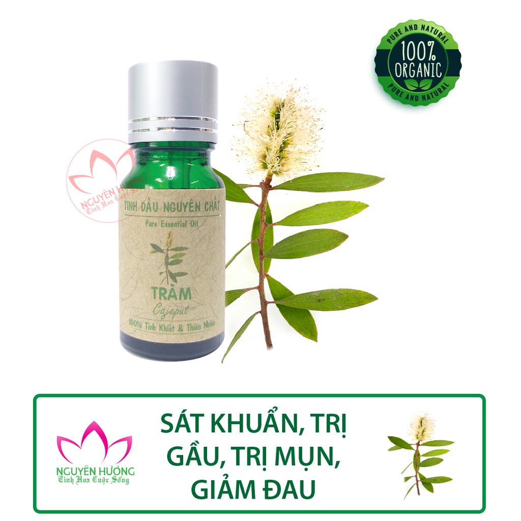 Tinh Dầu Tràm Gió (Cajeput) – 100% nguyên chất ( Treo xe, Xông thơm phòng.. ) | Thế Giới Skin Care