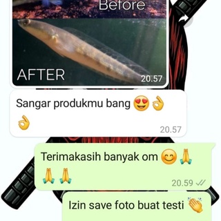 Thức ăn tôm khô GFS dành cho cá