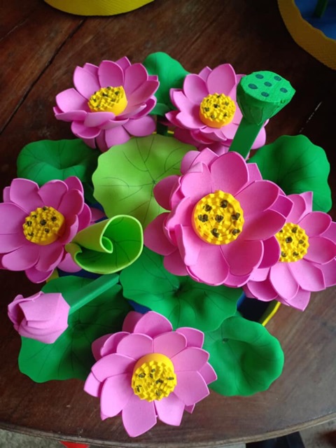 Ao sen đồ dùng mầm non