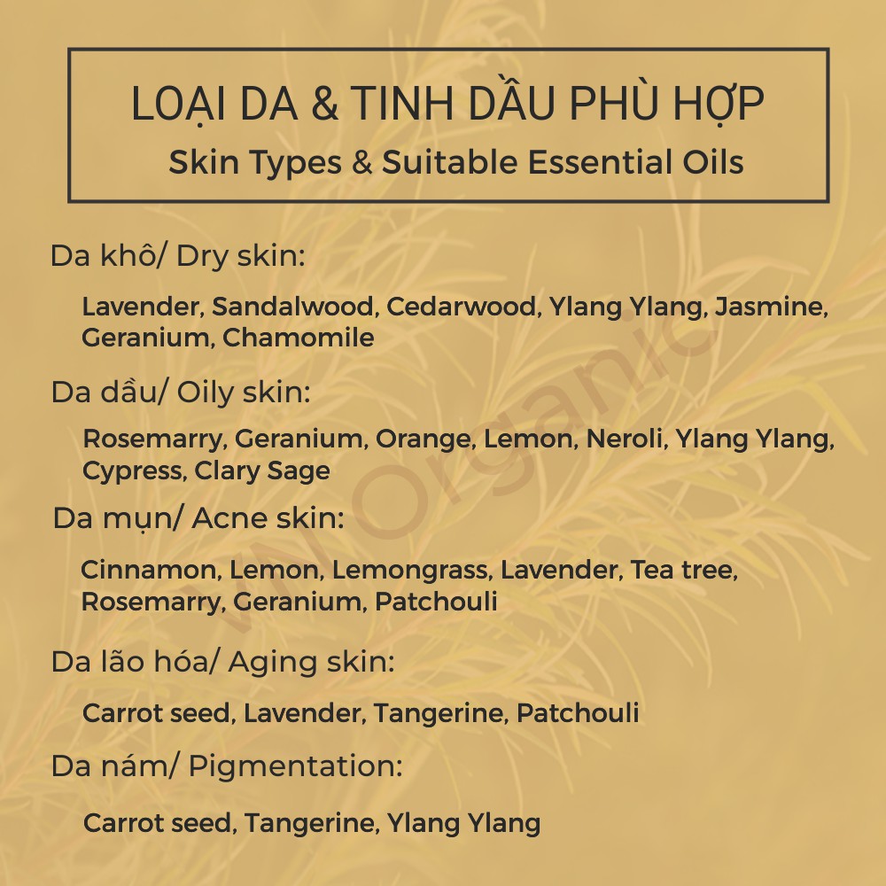 Tinh Dầu Tràm Trà/Tea Tree Essential Oil