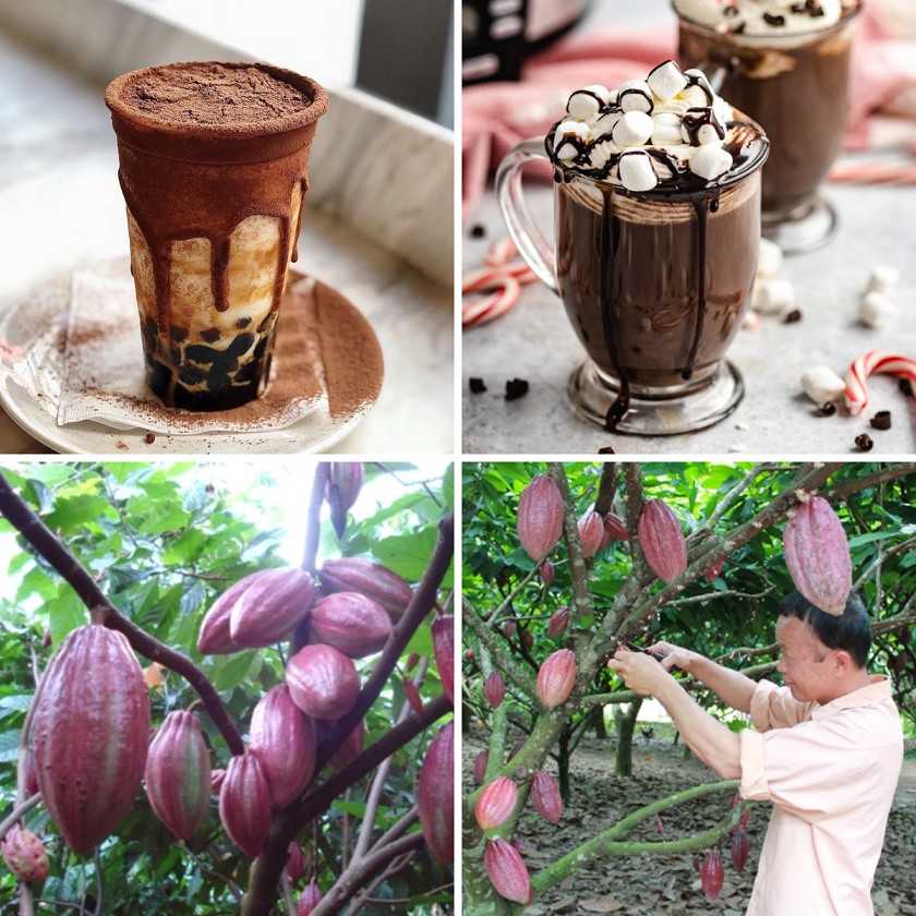 Bột Cacao DP FOOD 500g - Nguyên Chất Thượng Hạng - Chuyên dùng pha chế trà sữa, đá xay, latte, làm bánh,...