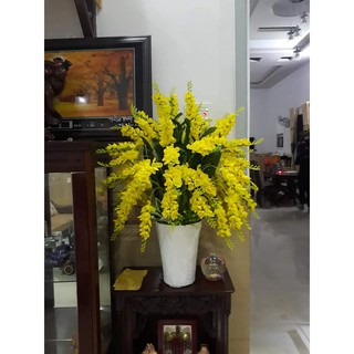COMBO 30 CÀNH ĐỖ QUYÊN 225K